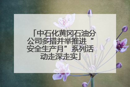 中石化黄冈石油分公司多措并举推进“安全生产月”系列活动走深走实