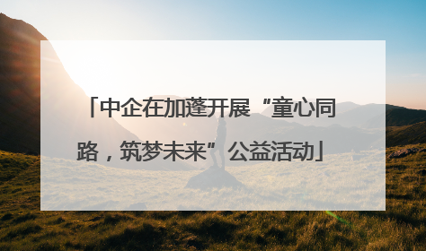 中企在加蓬开展“童心同路，筑梦未来”公益活动
