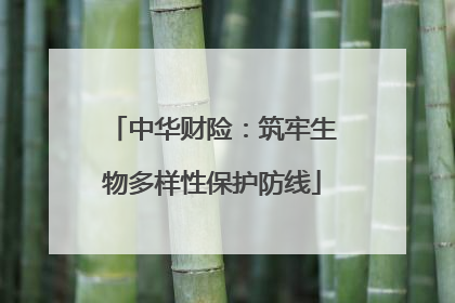 中华财险：筑牢生物多样性保护防线