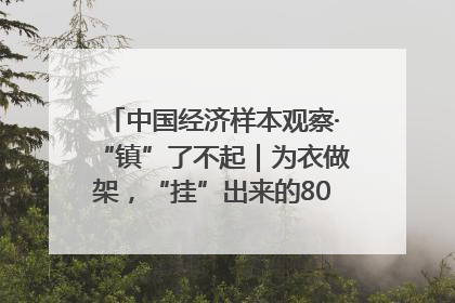 中国经济样本观察·“镇”了不起｜为衣做架，“挂”出来的80亿元“衣架产业”