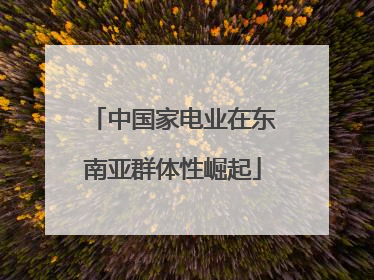中国家电业在东南亚群体性崛起