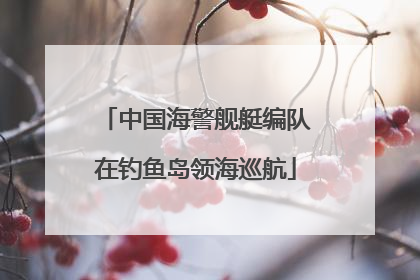 中国海警舰艇编队在钓鱼岛领海巡航