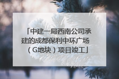 中建一局西南公司承建的成都保利中环广场（G地块）项目竣工