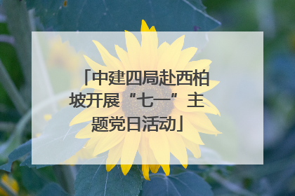 中建四局赴西柏坡开展“七一”主题党日活动