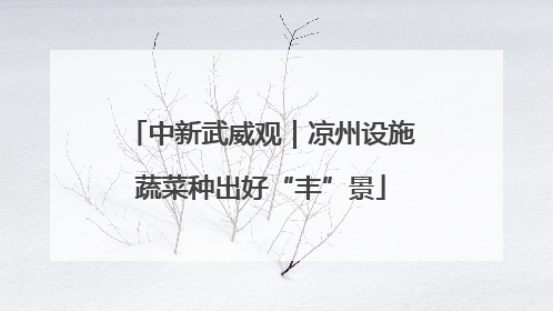 中新武威观｜凉州设施蔬菜种出好“丰”景