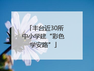 丰台近30所中小学建“彩色学安路”