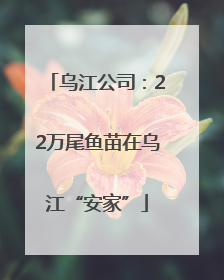 乌江公司：22万尾鱼苗在乌江“安家”
