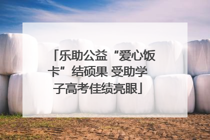 乐助公益“爱心饭卡”结硕果 受助学子高考佳绩亮眼