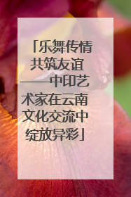 乐舞传情 共筑友谊——中印艺术家在云南文化交流中绽放异彩
