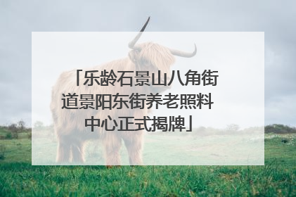 乐龄石景山八角街道景阳东街养老照料中心正式揭牌