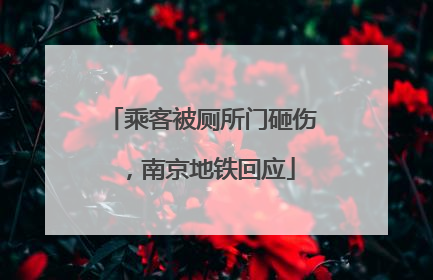 乘客被厕所门砸伤，南京地铁回应