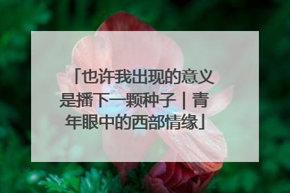 也许我出现的意义是播下一颗种子｜青年眼中的西部情缘