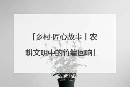 乡村·匠心故事丨农耕文明中的竹编回响