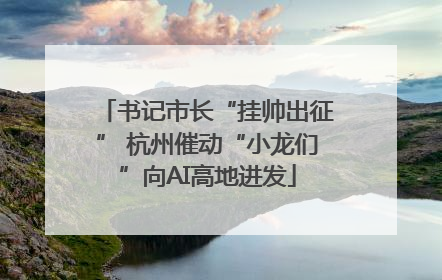 书记市长“挂帅出征” 杭州催动“小龙们”向AI高地进发