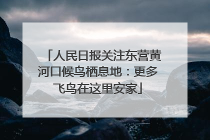 人民日报关注东营黄河口候鸟栖息地：更多飞鸟在这里安家