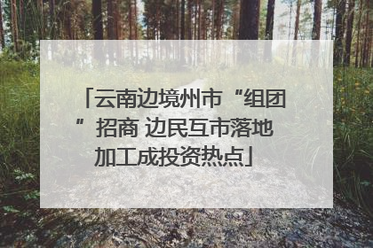 云南边境州市“组团”招商 边民互市落地加工成投资热点
