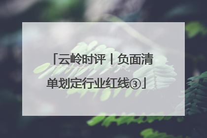 云岭时评丨负面清单划定行业红线③