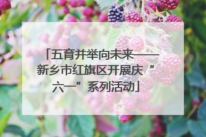 五育并举向未来——新乡市红旗区开展庆“六一”系列活动