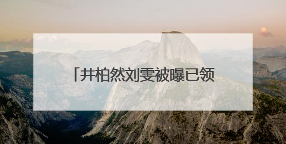 井柏然刘雯被曝已领证！网友集体送祝福