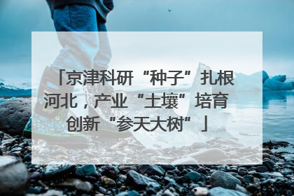 京津科研“种子”扎根河北，产业“土壤”培育创新“参天大树”