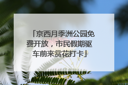 京西月季洲公园免费开放，市民假期驱车前来赏花打卡