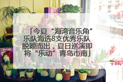 今夏“海湾音乐角”乐队海选8支优秀乐队脱颖而出，夏日巡演即将“乐动”青岛市南