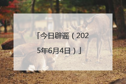 今日辟谣（2025年6月4日）