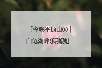 今晚平顶山⑥｜白龟湖畔乐融融