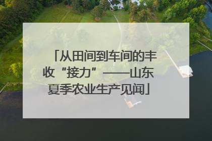 从田间到车间的丰收“接力”——山东夏季农业生产见闻