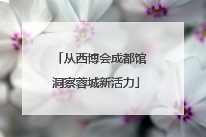 从西博会成都馆洞察蓉城新活力