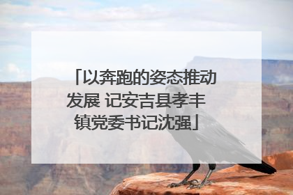 以奔跑的姿态推动发展 记安吉县孝丰镇党委书记沈强