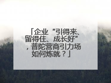 企业“引得来、留得住、成长好”,普陀营商引力场如何炼就?