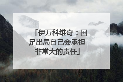 伊万科维奇：国足出局自己会承担非常大的责任