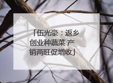 伍光豪：返乡创业种蔬菜 产销两旺促增收