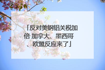 反对美钢铝关税加倍 加拿大、墨西哥、欧盟反应来了
