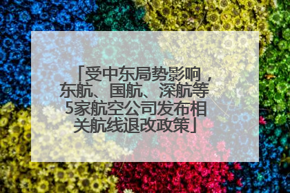 受中东局势影响，东航、国航、深航等5家航空公司发布相关航线退改政策