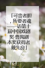 可贵者胆，所要者魂——访第十届中国戏剧奖·曹禺剧本奖获得者戴先良