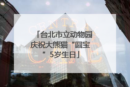 台北市立动物园庆祝大熊猫“圆宝”5岁生日