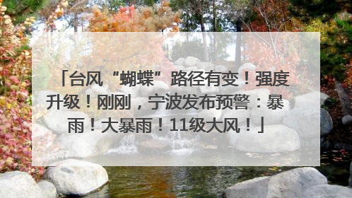 台风“蝴蝶”路径有变！强度升级！刚刚，宁波发布预警：暴雨！大暴雨！11级大风！