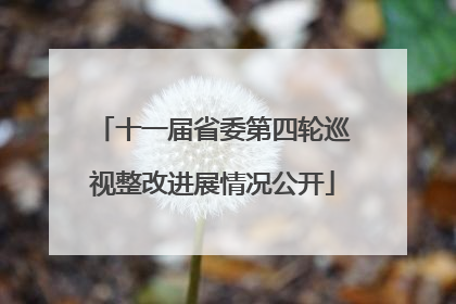 十一届省委第四轮巡视整改进展情况公开