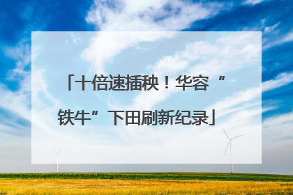 十倍速插秧！华容“铁牛”下田刷新纪录