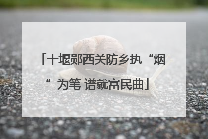 十堰郧西关防乡执“烟”为笔 谱就富民曲