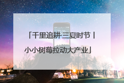千里追耕·三夏时节丨小小树莓拉动大产业