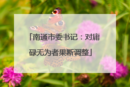 南通市委书记：对庸碌无为者果断调整