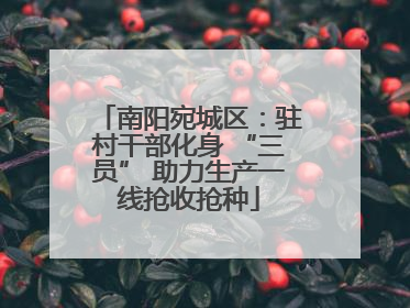 南阳宛城区：驻村干部化身 “三员” 助力生产一线抢收抢种