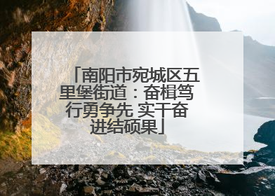 南阳市宛城区五里堡街道：奋楫笃行勇争先 实干奋进结硕果