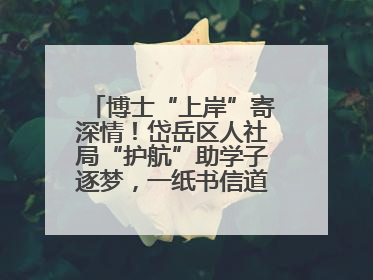 博士“上岸”寄深情！岱岳区人社局“护航”助学子逐梦，一纸书信道尽“根在岱岳”的眷恋