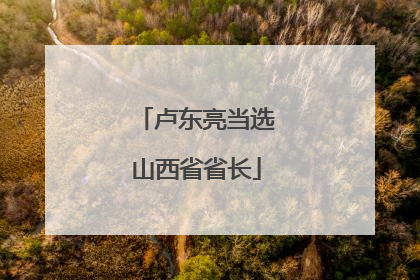 卢东亮当选山西省省长
