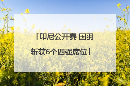 印尼公开赛 国羽斩获6个四强席位