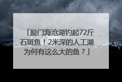 厦门海沧湖钓起72斤石斑鱼！2米深的人工湖为何有这么大的鱼？